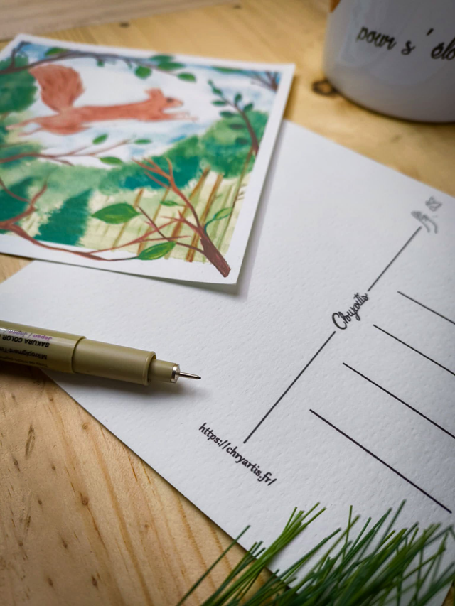 Au delà des branches - carte postale - Ecureuil -