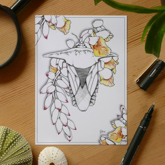 CARTE POSTALE – Atoumo