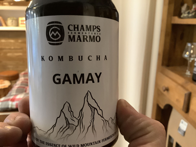 Kombucha gamay 