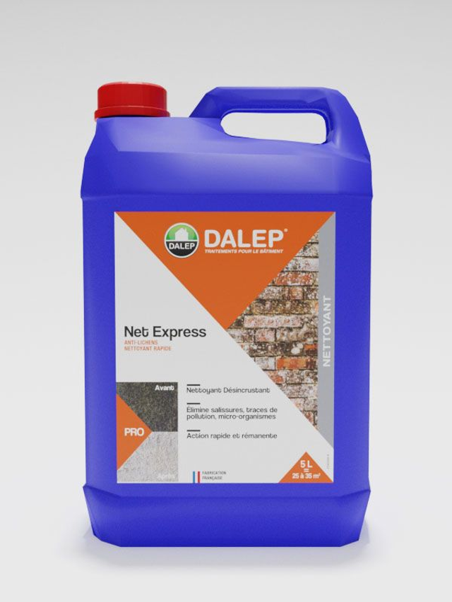 DALEP NETTOYANT RAPIDE PAE NET EXPRESS