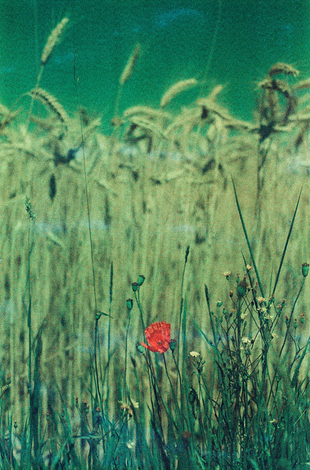 Laura Lafon Cadilhac