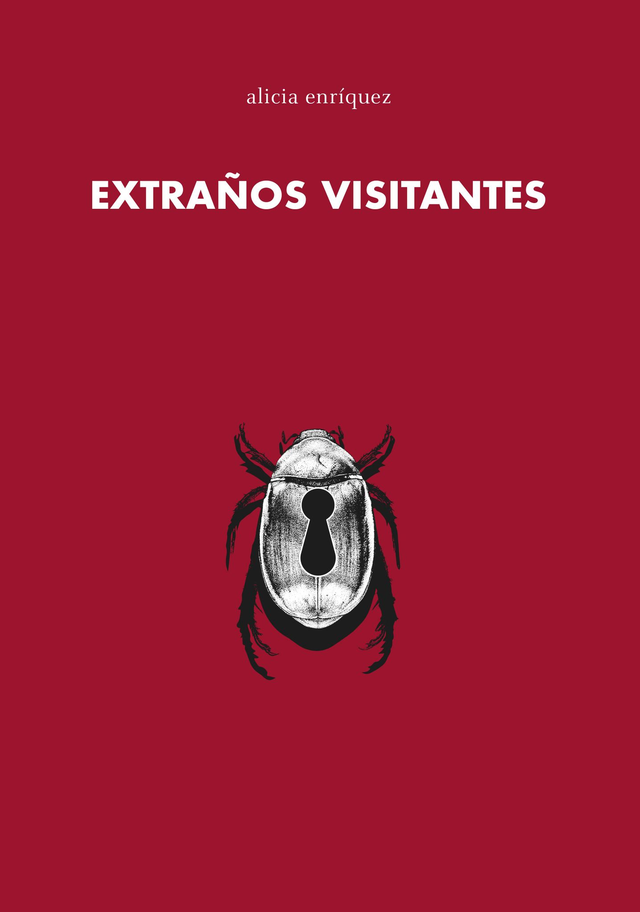 extraños visitantes (alicia enríquez)