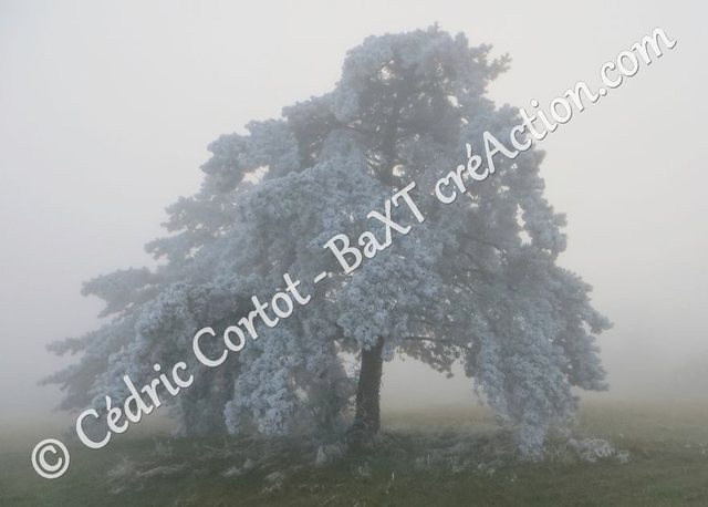 Carte postale - Paysages et divers (Ref IMG_4510)