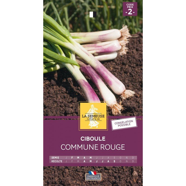 CIBOULE COMMUNE ROUGE