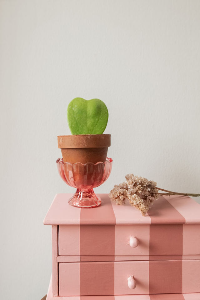 Coupelle rose verre ✨