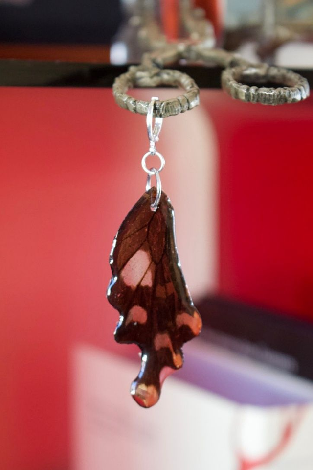 Monoboucle ailes de papillon