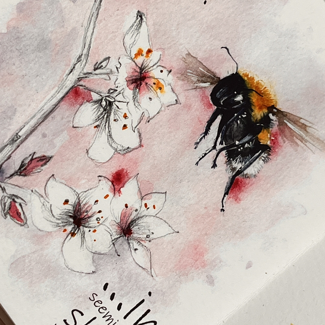 Bumblebees, a mini watercolor collection