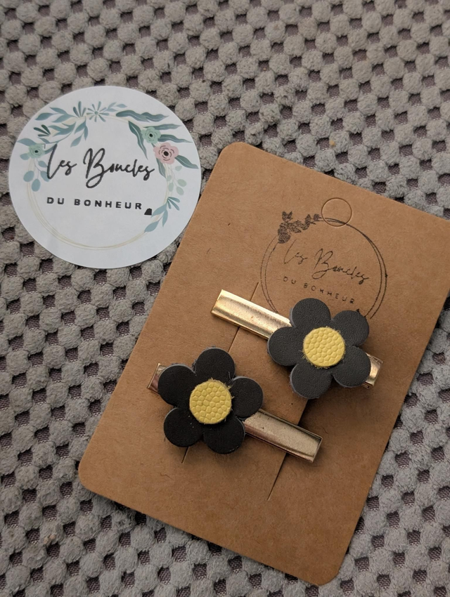 Barrette b063