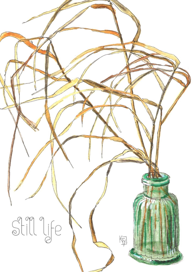 Graminée "Still life"