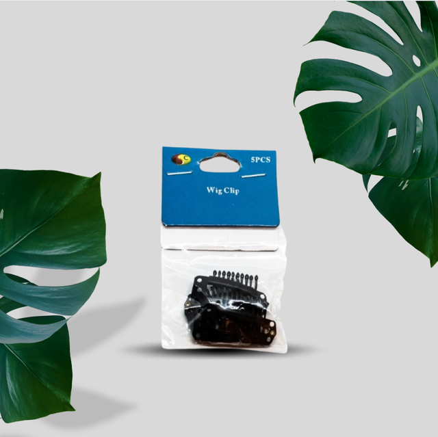 WIG CLIP PLAQUETTE DZ