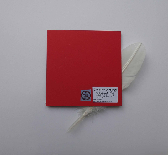 Le sapin et le père noël