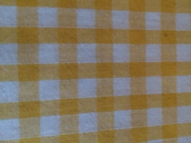 Gingham 1/4” Mustard 262