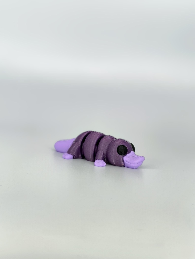 Pedro the Platypus Jnr