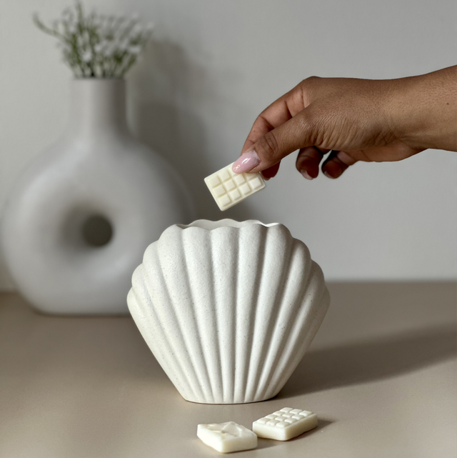 Minimalist coquillage 