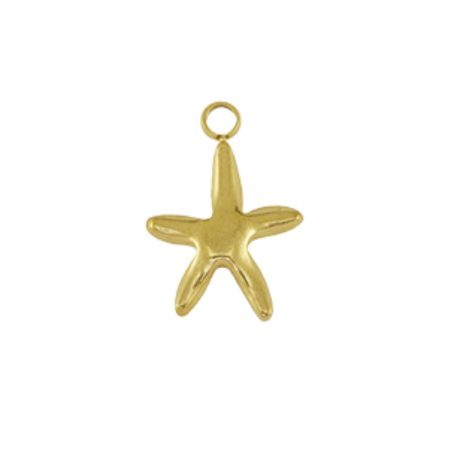 37 - Breloque étoile de mer