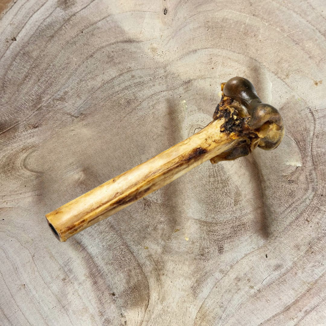 Ostrich Bones