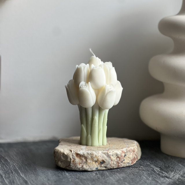 Tulipe
