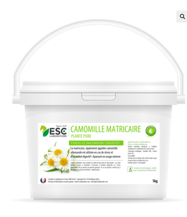 CAMOMILLE MATRICAIRE – Stress et inconfort digestif cheval – Plante pure