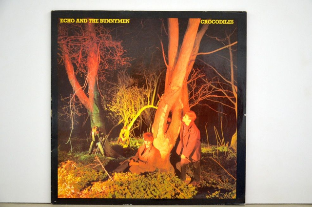 Echo &amp; The Bunnymen - Crocodiles (1980)