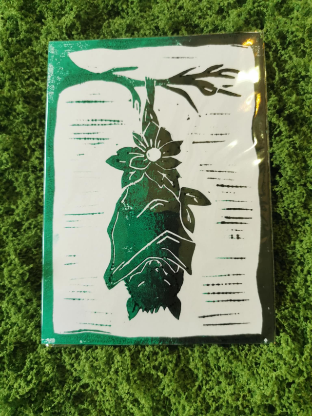 Chauve-souris bicolor verte &amp; noire