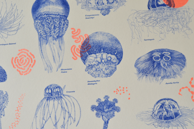 Affichette A4 Neon Jellyfish