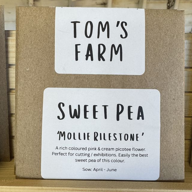 Sweet Pea Mollie Rilestone