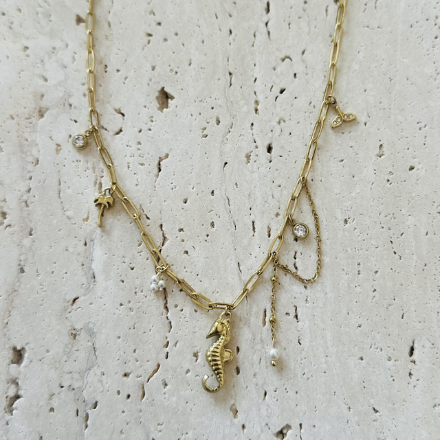Ketting zeepaardje 