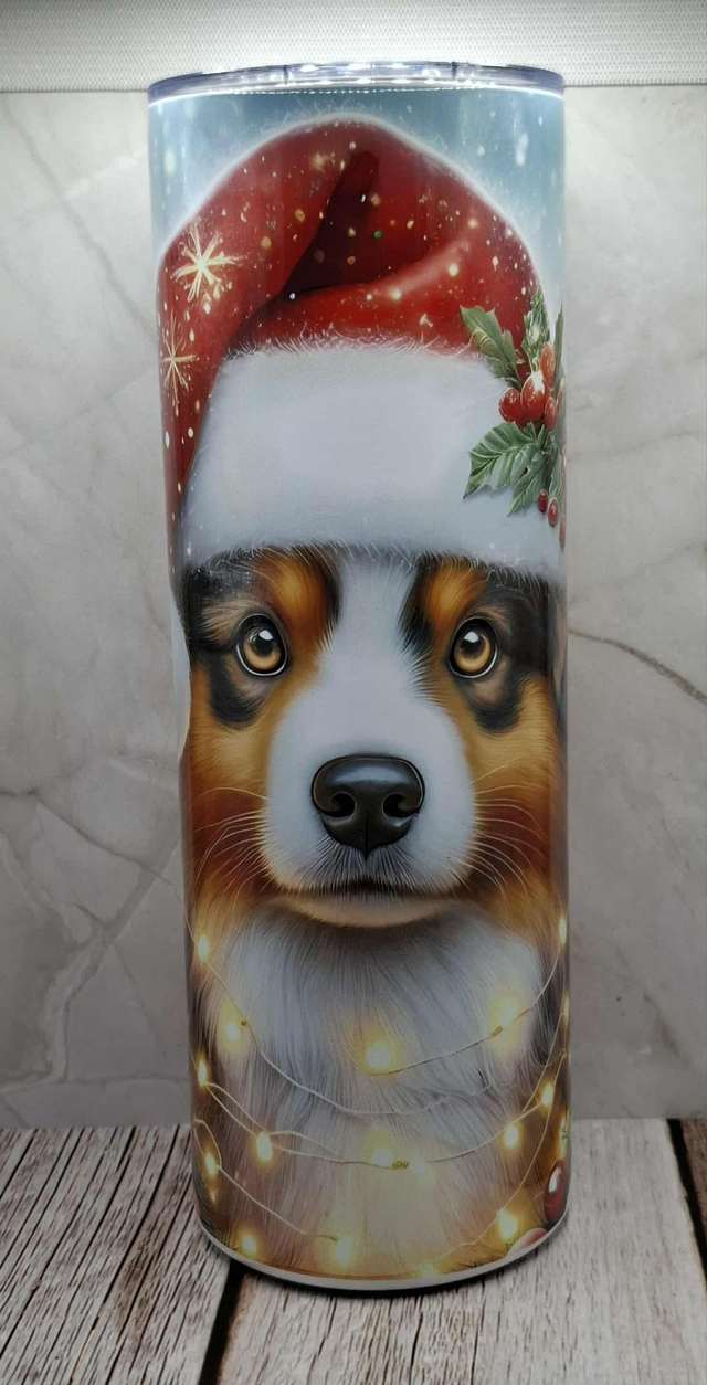 Gourde Canette berger australien