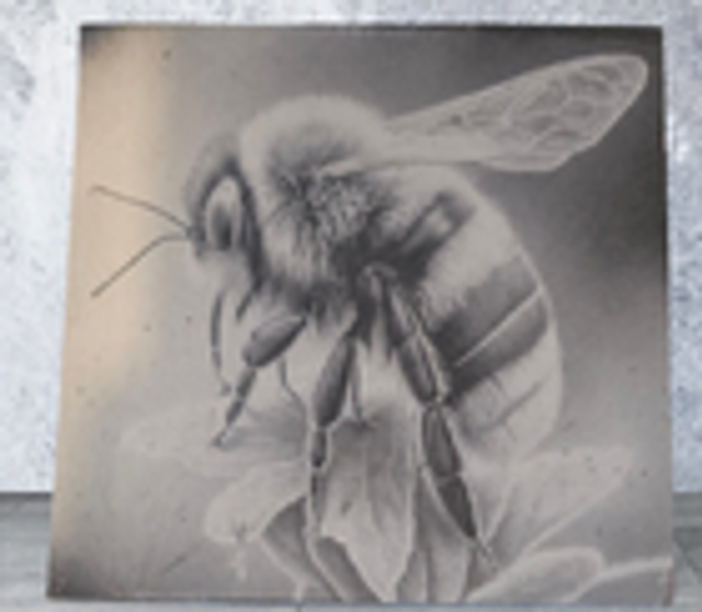 Slate Coaster - Bee