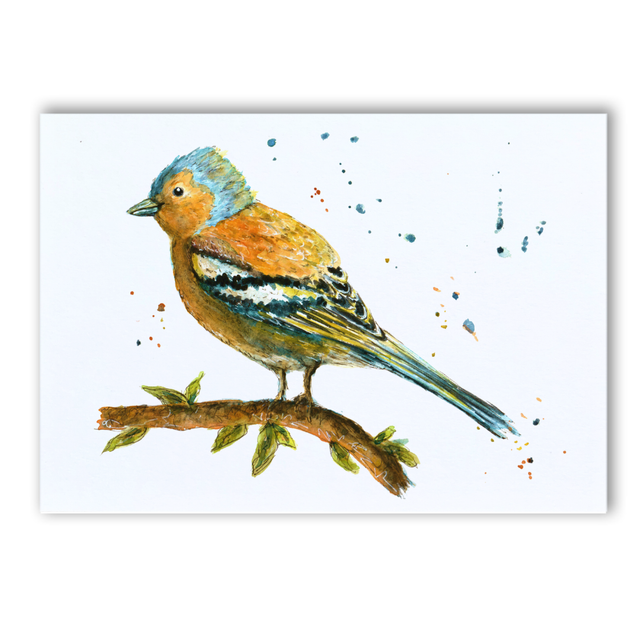 A5 Chaffinch on a branch watercolour print