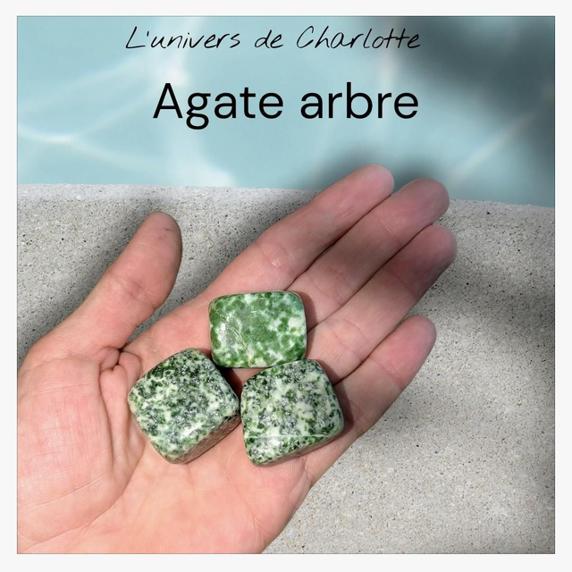 Pierre roulée "Agate arbre"