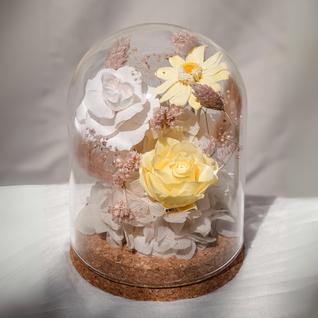 Morning Light | Preserved Flower Glass Dome | Next-Day Flower Delivery in Bristol | UK-Wide Delivery