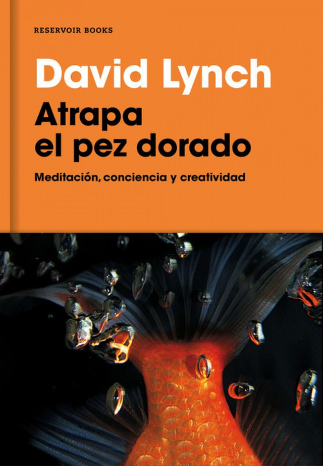 Atrapa el pez dorado: Meditación, conciencia y creatividad - David Lynch