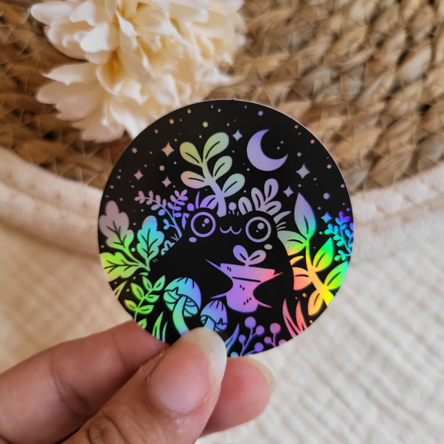 Grenouille holographique