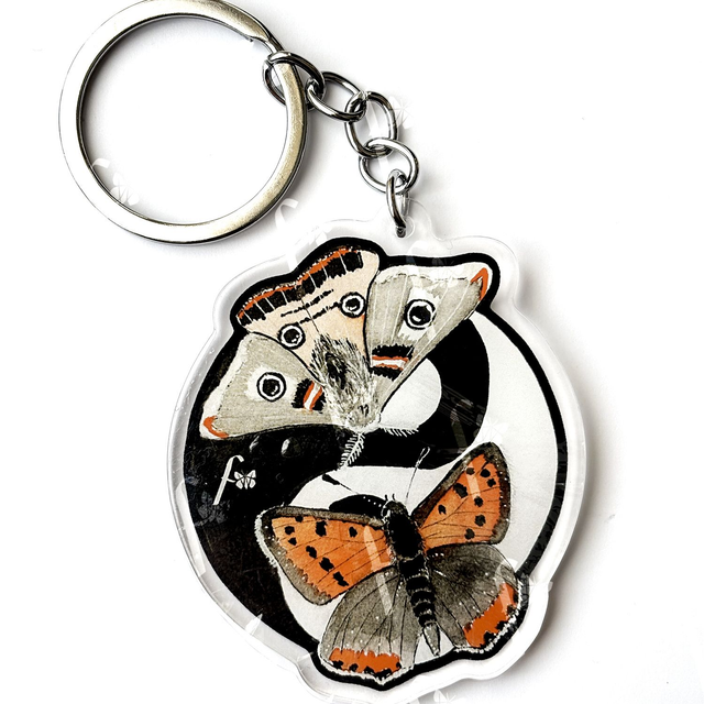 Papillons Yin et Yang