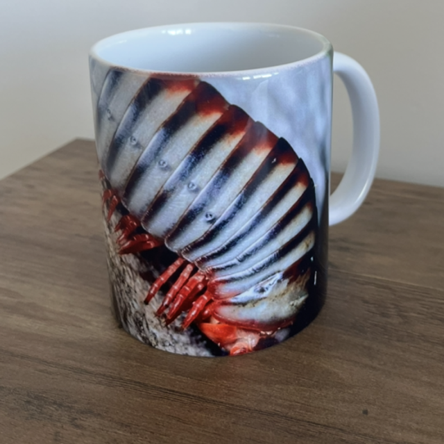 Millipede Mug