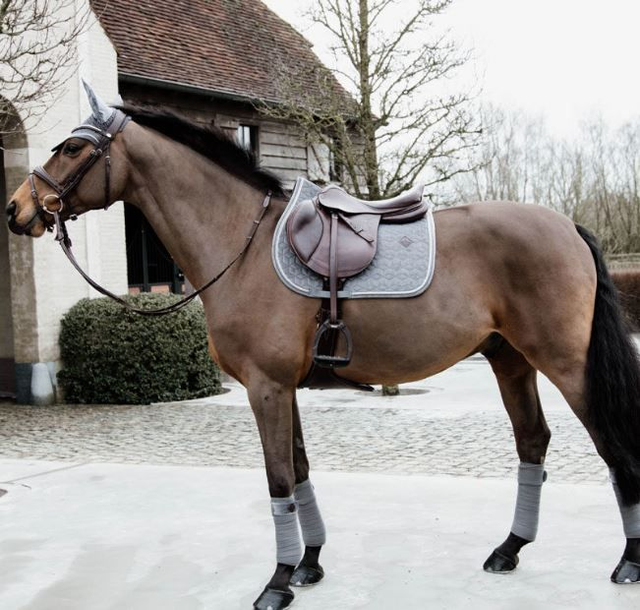 Kentucky Horsewear Basic Velvet Jumping Saddle Pad