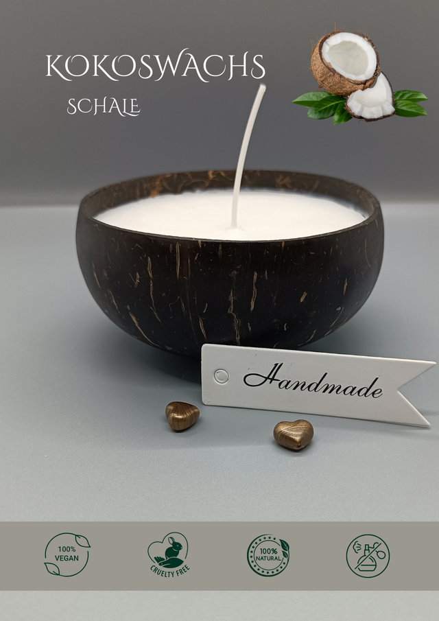 Kokoswachs in echter Schale