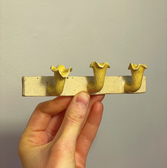 Hook rail, Chanterelle, FOR ADHESIVE STRIPS