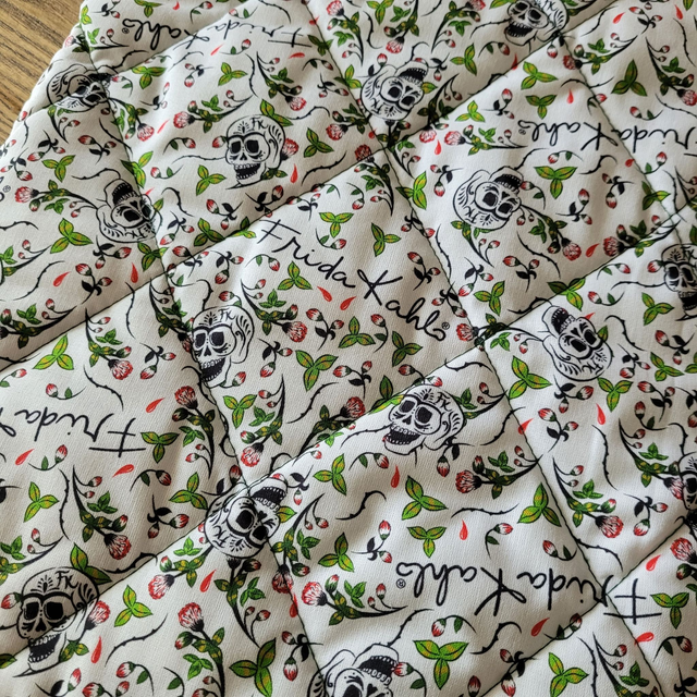 Pochette pour livre Intégrale / BD : Frida Kahlo