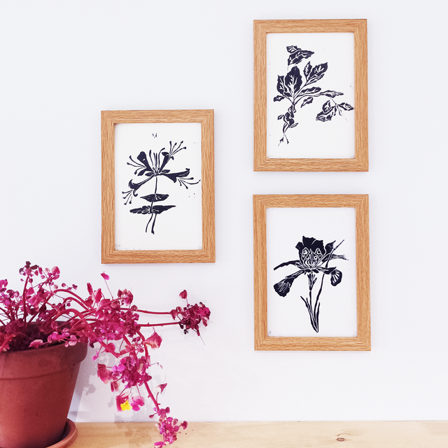 Chèvrefeuille. Bélier