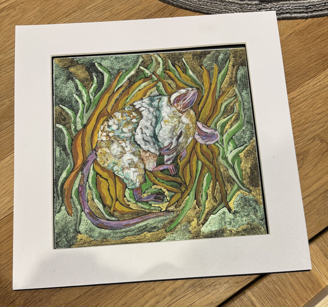 Original - Sleepy dormouse