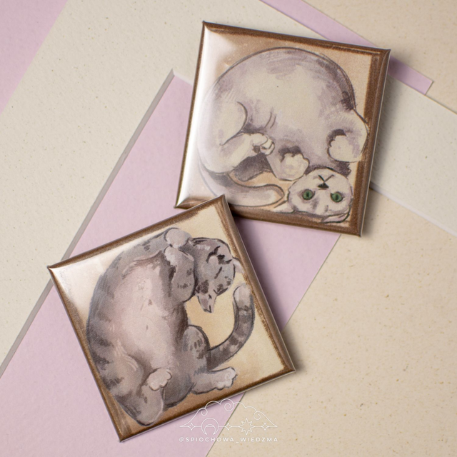 Kot w pudełku | ZWIERZĘTA 