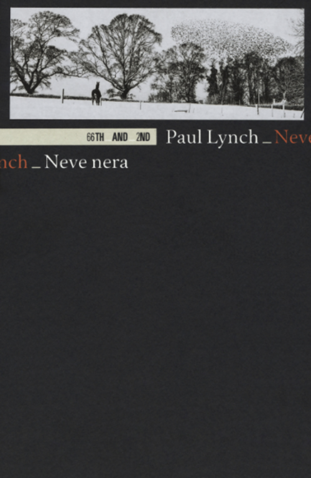 Lynch Paul - Neve nera (66thand2nd)