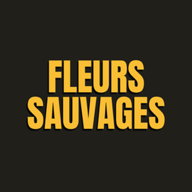 Miel de Fleurs sauvages