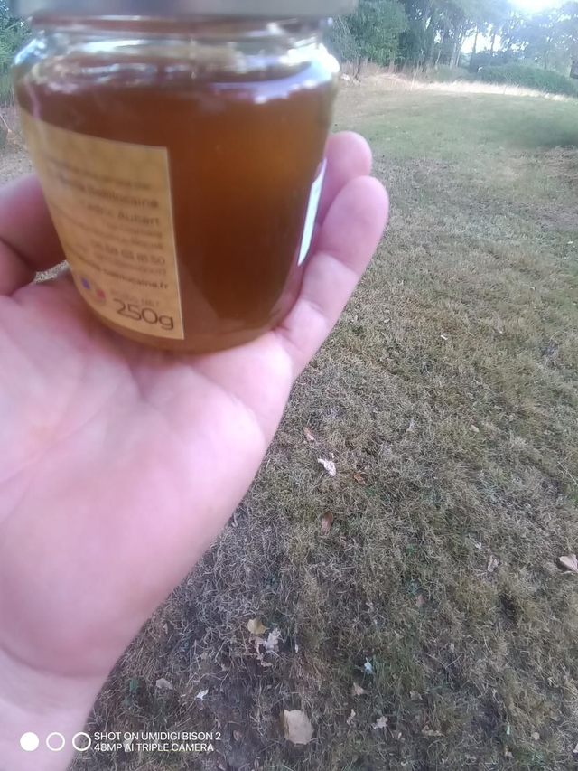 Miel de fleurs ronce 250grs