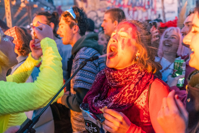 Carnaval de la Plaine