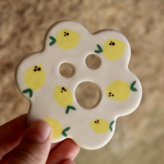 Disque de bouturage 🌱