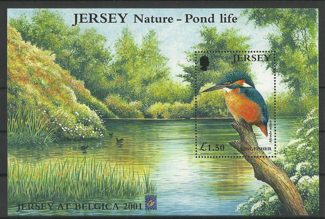 Jersey Belgica 2001 Birds,Kingfisher Minisheet MNH