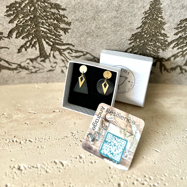 Boucles d’Oreilles Asymétriques Ébène & Acier Doré